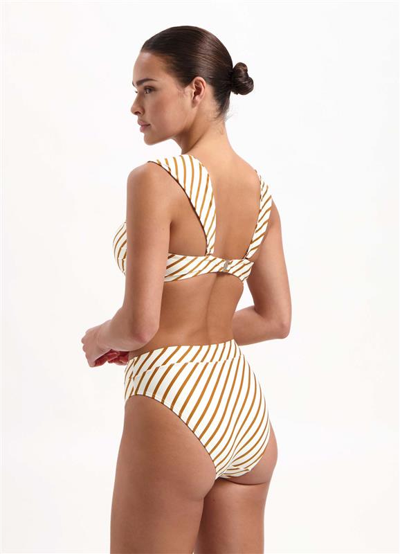 Spice Stripe high waist bikini bottom 